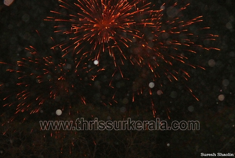 thrissur-pooram-2011- (112)